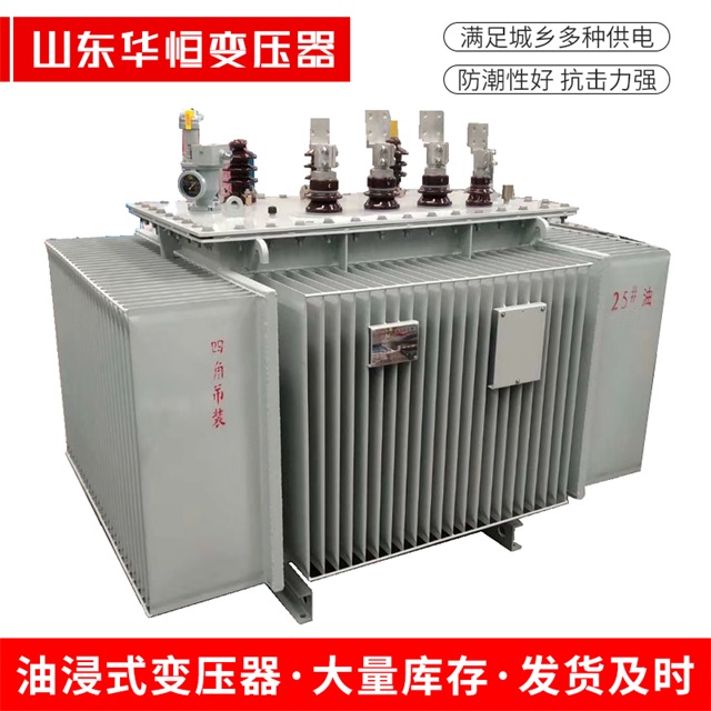 S13-10000/35隆安隆安隆安电力变压器厂家