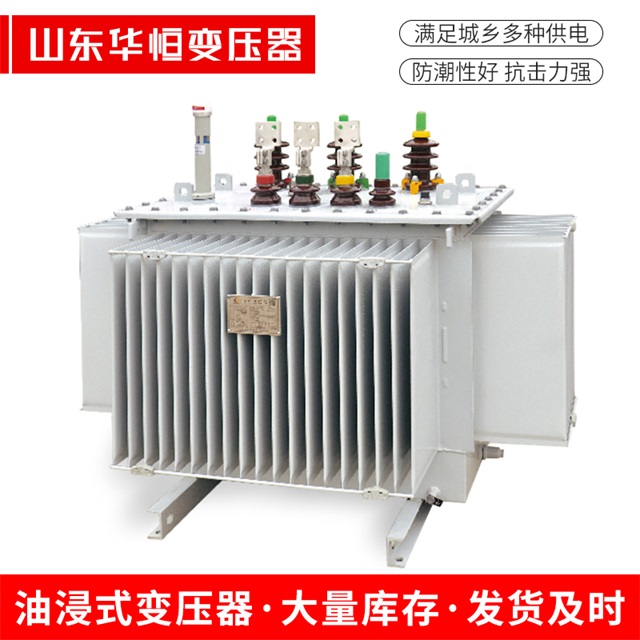 S13-10000/35隆安隆安隆安电力变压器